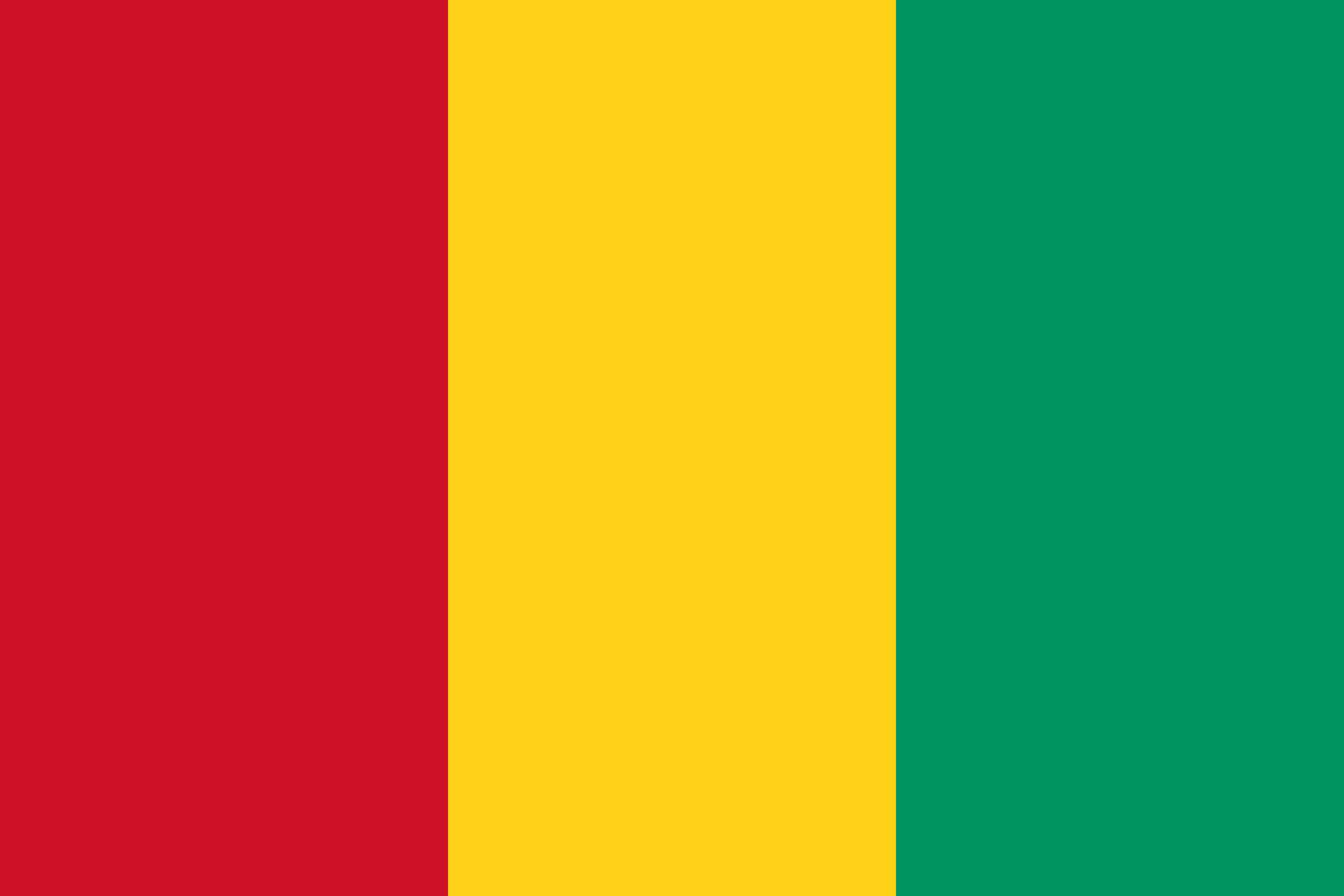 几内亚BESC货物跟踪单介绍